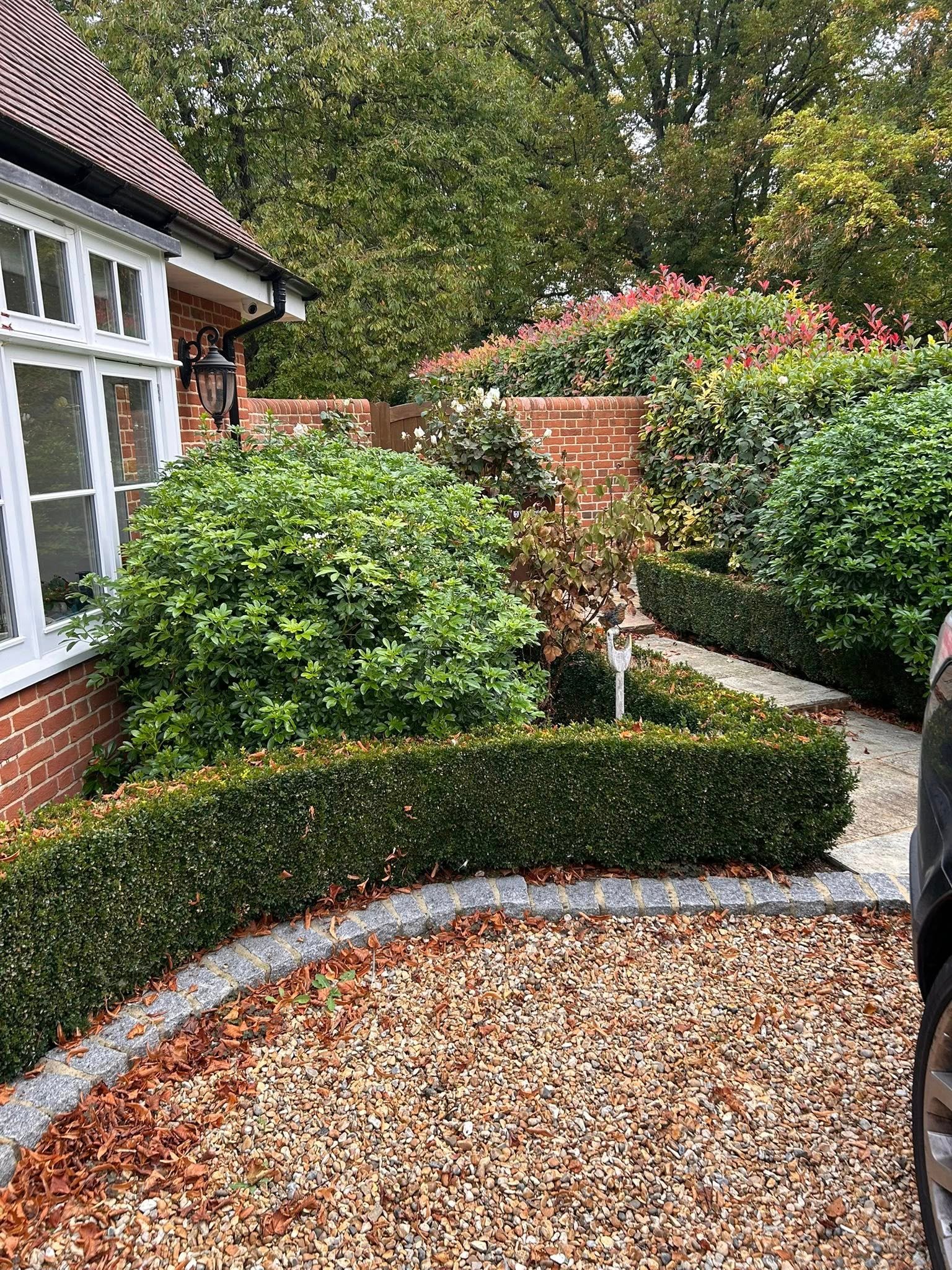 image shows a maintained garden with well looked after hedges and bushes