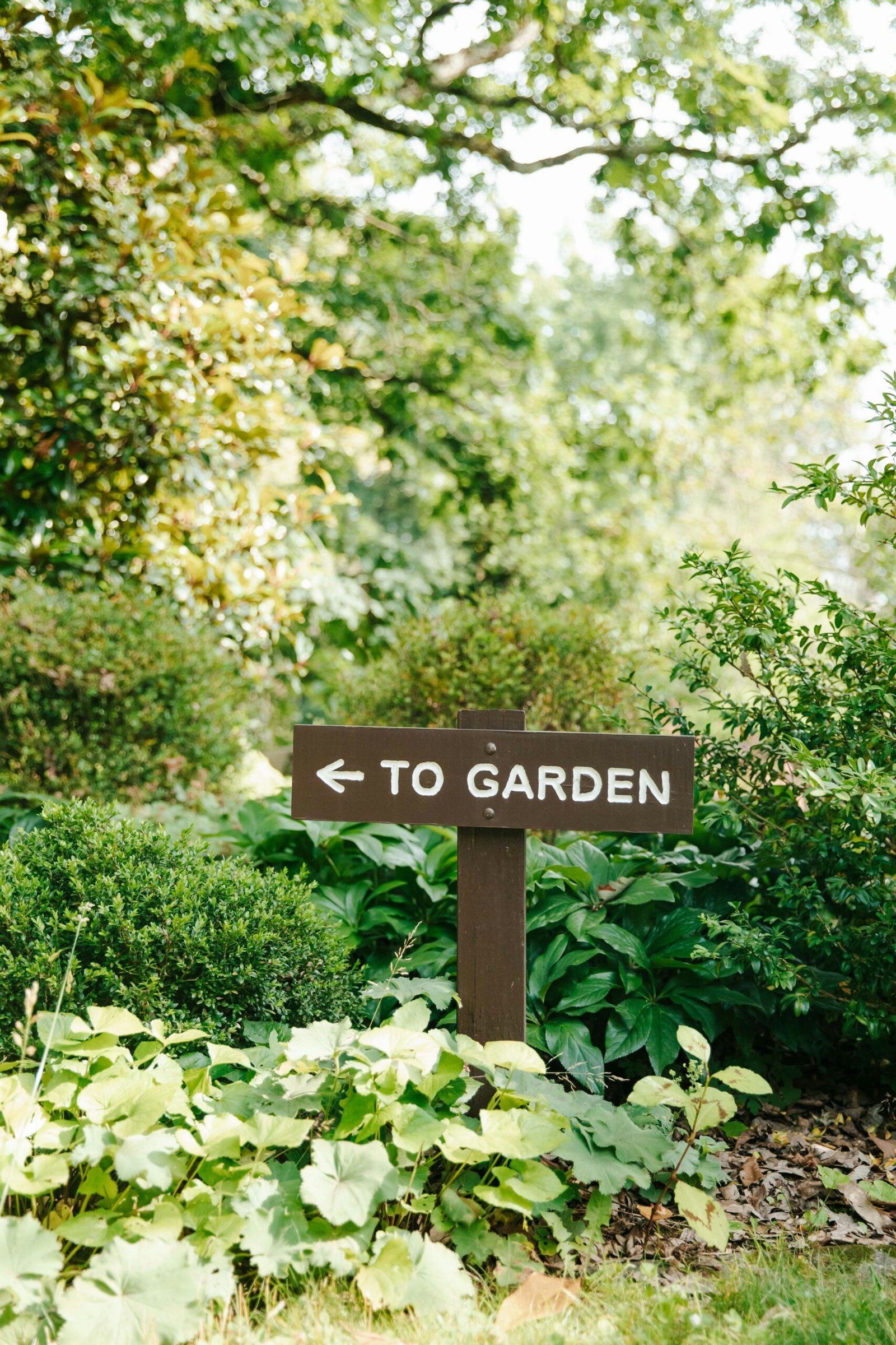 the image shows a forested area with a sign that says "to garden"