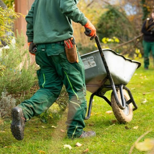 this image shows garden waste being taken away in a wheelbarrow