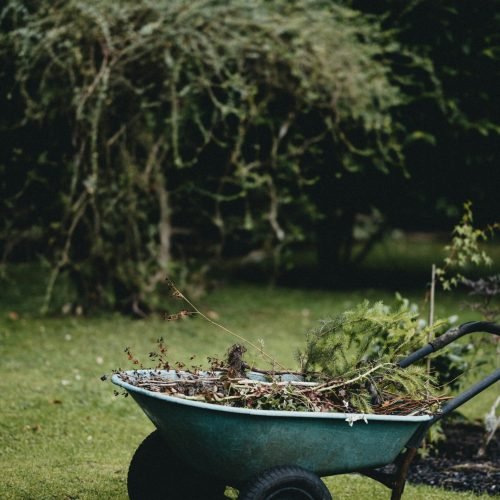 this shows garden waste collected up in a wheelbarrow
