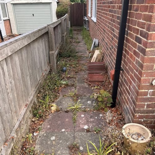 this shows an overgrown patio covered in weeds