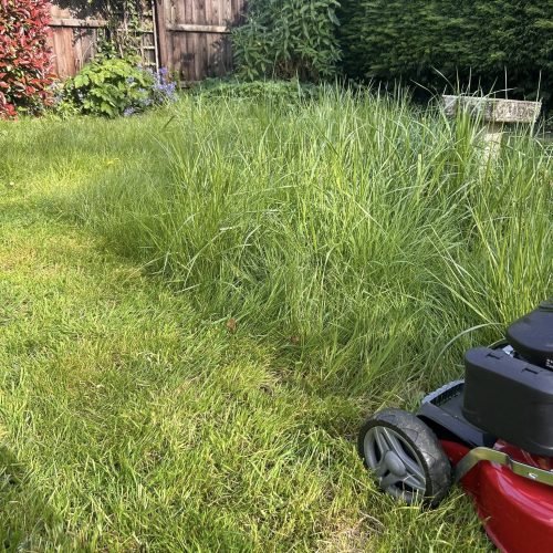 this shows a lawn that has been half mowed