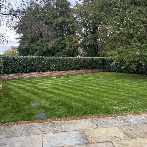 this shows a pristine lawn with lines mowed into it