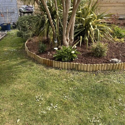 this shows a neat and tidy border with plants planted into the soil making for an aesthetic look